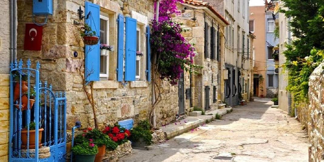 Giden ‘Kış masalı’ yaşıyor: Ege’nin doğallığını koruyan adresi 7